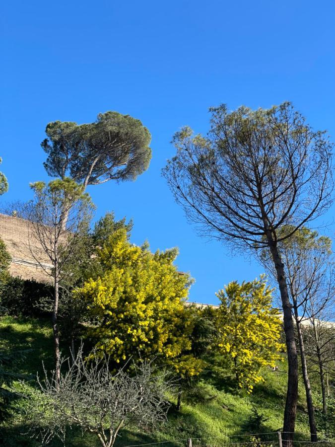 רומא Vatican Green Holidays House מראה חיצוני תמונה
